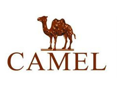 CAMEL(ٻ)