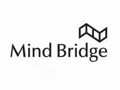 Mind Bridge(㳡)